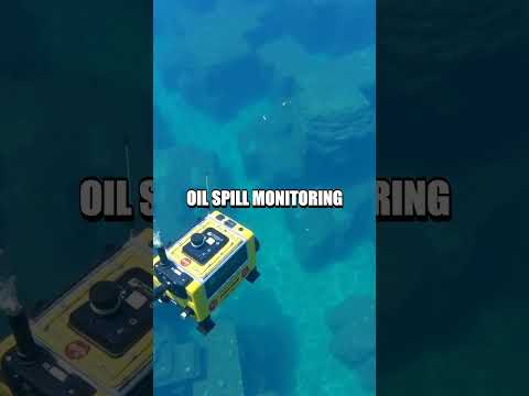Exploring the Rise of Autonomous Underwater Vehicles