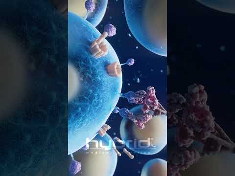 Monoclonal antibodies animation | antibody animation | #multiplemyeloma #monoclonalantibodies